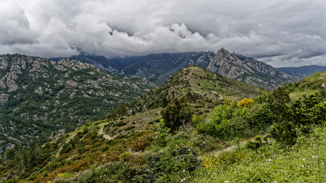 20230518 132021•Corte•Corsica•France